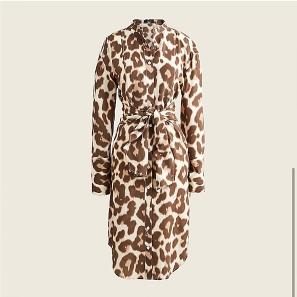 🌸 J. Crew Tie-front silk shirtdress in dusty leopard - Picture 5 of 5